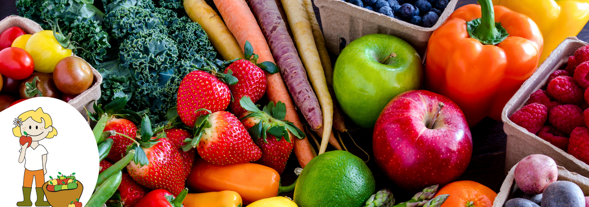 Mehrwegkiste der Ökokiste Bosshammersch Hof mit aufschrift Allgemeine Geschäftsbedingungen