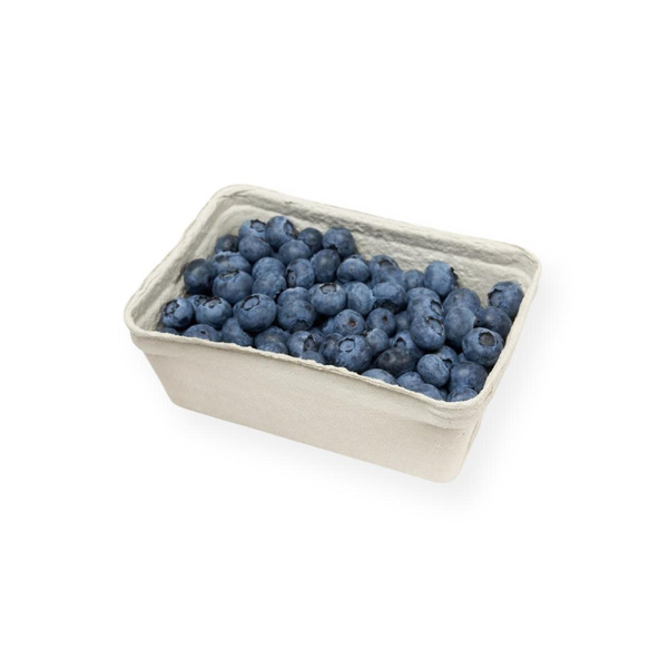 Produktfoto zu Heidelbeeren (125g)