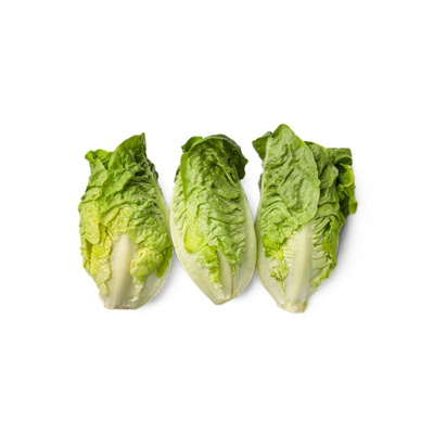 Produktfoto zu Mini-Romana-Salat