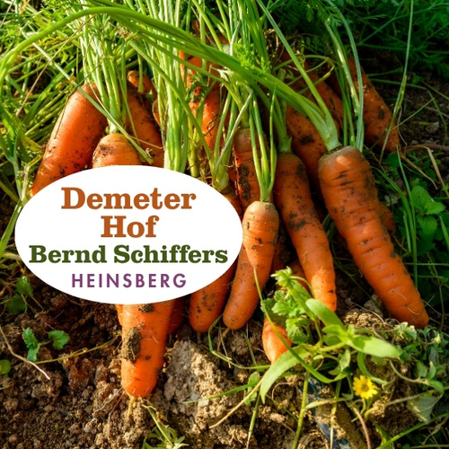 KI generiert: Einige Karotten in Erde. Text: "Demeter Hof Bernd Schiffers Heinsberg".