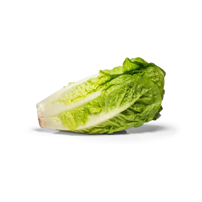 Produktfoto zu Romanasalat