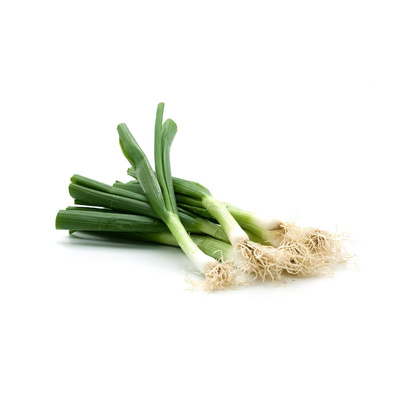 Produktfoto zu Bundzwiebeln
