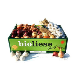 Produktfoto zu zwiebelLiese