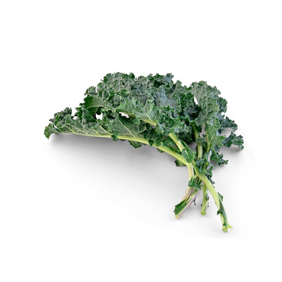 Produktfoto zu Grünkohl