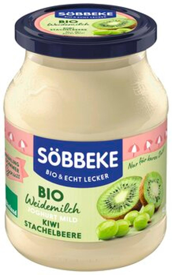 Produktfoto zu -15% Saisonjoghurt Kiwi-Stachelbeere (500g) | MHD 4.4.26