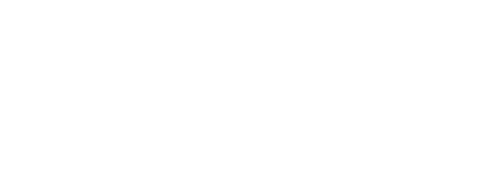 KI generiert: Eine detaillierte weiße Schneeflocke auf transparentem Hintergrund.