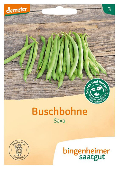 Produktfoto zu Saatgut Buschbohne "Saxa"