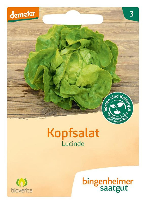 Produktfoto zu Saatgut Kopfsalat "Lucinde"