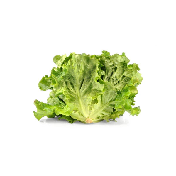 Produktfoto zu Batavia Salat