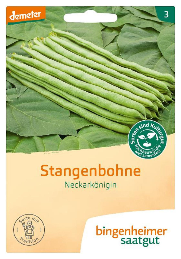 Produktfoto zu Saatgut Stangenbohne "Neckarkönigin"