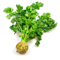 Knollensellerie mit Grün