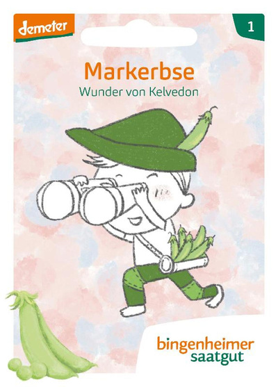 Produktfoto zu Saatgut Garten-Bande Markerbse "Wunder von Kelvedon"