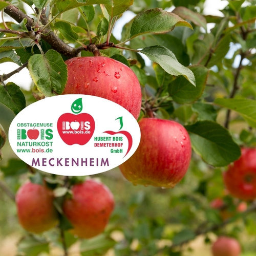 KI generiert: Rote Äpfel am Baum mit einem Logo: "OBST & GEMÜSE BOIS NATURKOST Meckenheim".