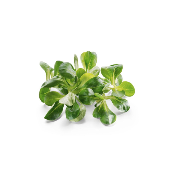 Produktfoto zu Feldsalat aus dem Freiland