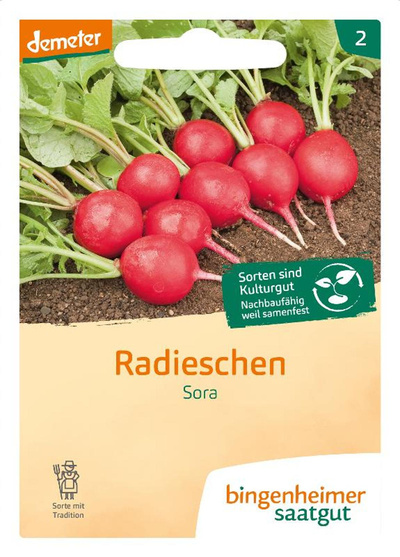 Produktfoto zu Saatgut Radieschen "Sora"