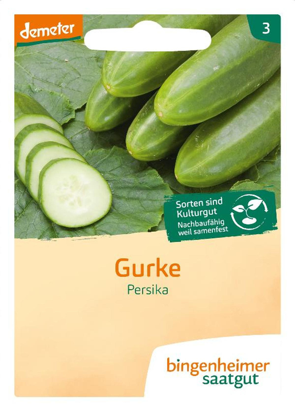 Produktfoto zu Saatgut Freilandgurke "Persika"
