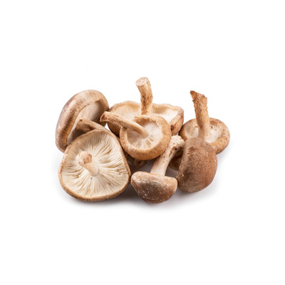 Produktfoto zu Shiitakepilze