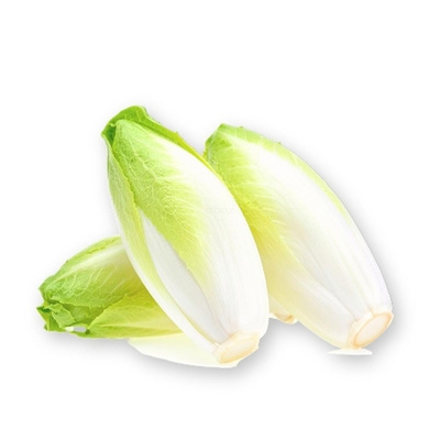 Produktfoto zu Chicorée