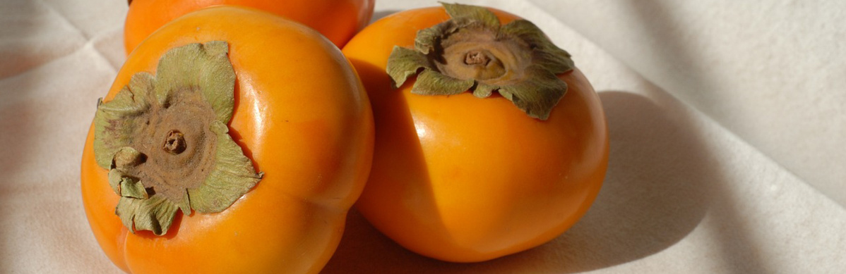 Warenkunde Obst und Gemüse in der Ökokiste