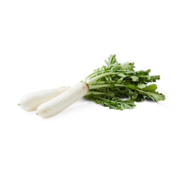 Produktfoto zu Weißer Rettich