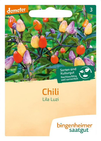 Produktfoto zu Saatgut Chili "Lila Luzi"
