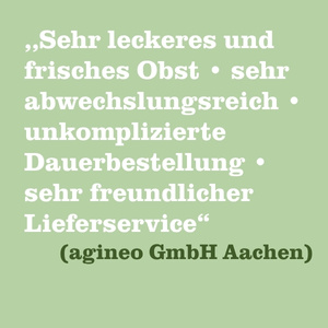 KI generiert: Text auf grünem Hintergrund: „Sehr leckeres und frisches Obst...“ (agineo GmbH Aachen)