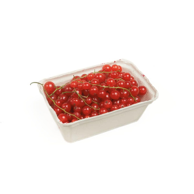 Produktfoto zu Rote Johannisbeeren (250g)