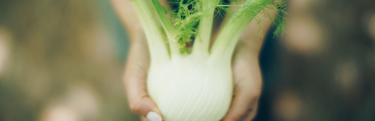 Warenkunde Obst und Gemüse in der Ökokiste