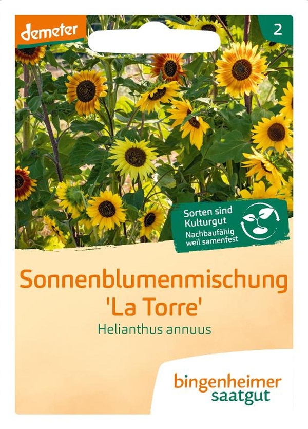 Produktfoto zu Saatgut Sonnenblume "La Torre"
