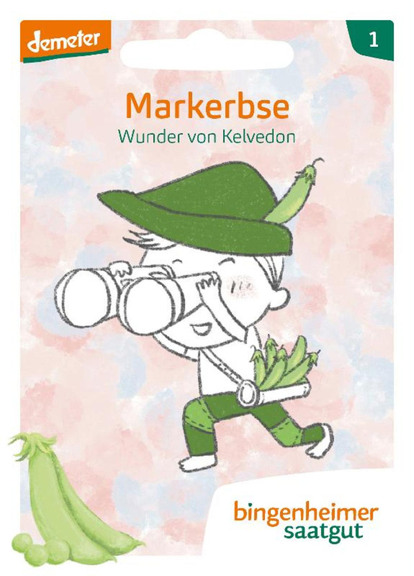 Produktfoto zu Saatgut Garten-Bande Markerbse "Wunder von Kelvedon"