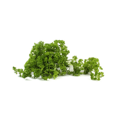 Produktfoto zu Petersilie kraus
