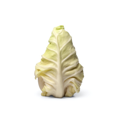Produktfoto zu Spitzkohl, neue Ernte