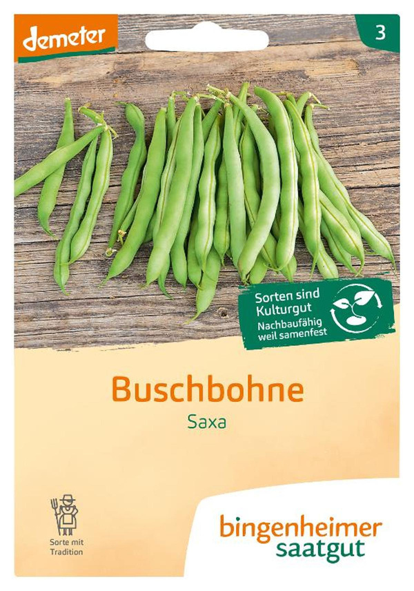 Produktfoto zu Saatgut Buschbohne "Saxa"
