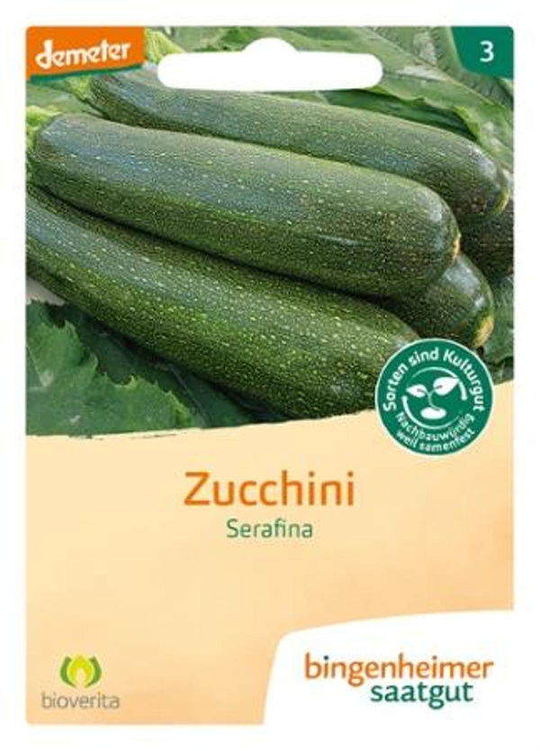 Produktfoto zu Saatgut Zucchini "Serafina"