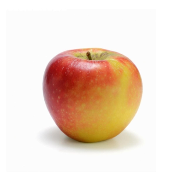 Produktfoto zu Apfel Shalimar