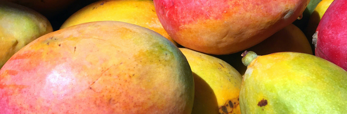 Warenkunde Obst und Gemüse in der Ökokiste