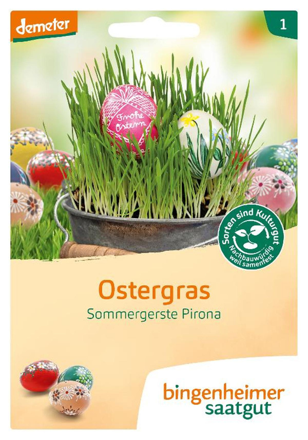 Produktfoto zu Saatgut "Ostergras"