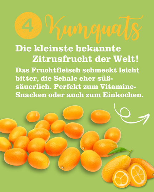 KI generiert: Kumquats auf grünem Hintergrund. Text: "4 Kumquats, Die kleinste bekannte Zitrusfrucht der Welt!"