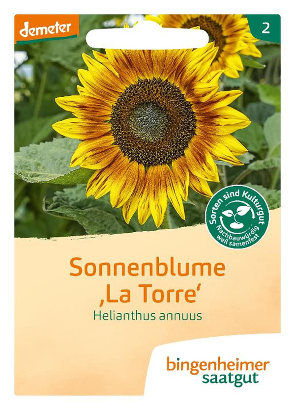 Produktfoto zu Saatgut Sonnenblume "La Torre"