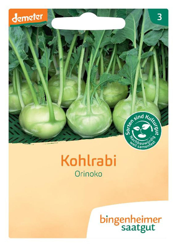 Produktfoto zu Saatgut Kohlrabi "Orinoko" weiß