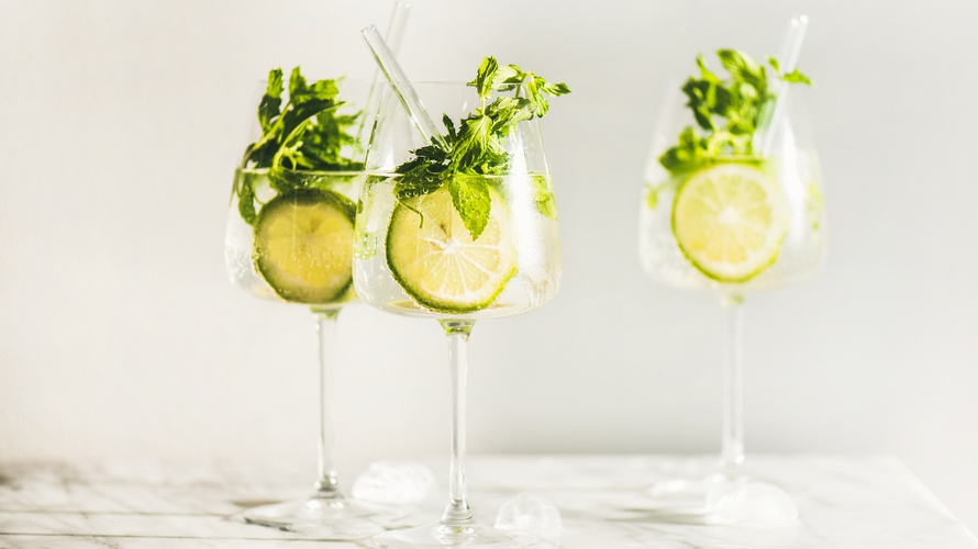 Rezeptbild für Holler-Hugo