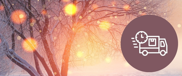 KI generiert: Verschneite Bäume im Sonnenuntergang; Icon von Lieferwagen mit Uhr.