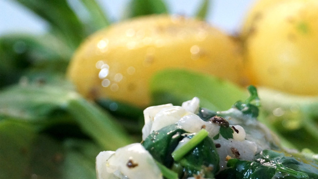 Rezeptbild für Kräuter-Sahnesößchen mit Spinat und Quark-Kartoffeln auf Feldsalatbett