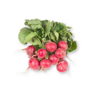 Produktfoto zu Radieschen