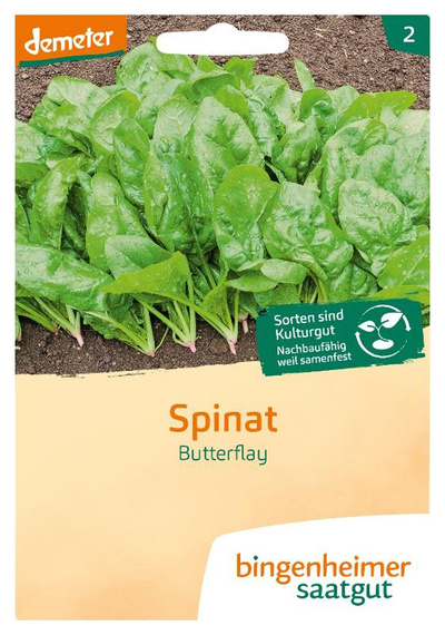 Produktfoto zu Saatgut Spinat "Butterflay"