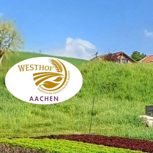 KI generiert: Logo "Westhof Aachen" vor grüner Landschaft. Text: "Solidarische Landwirtschaft Aachen".