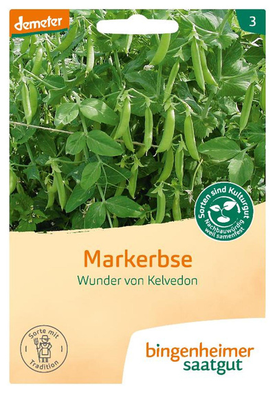 Produktfoto zu Saatgut Garten-Bande Markerbse "Wunder von Kelvedon"