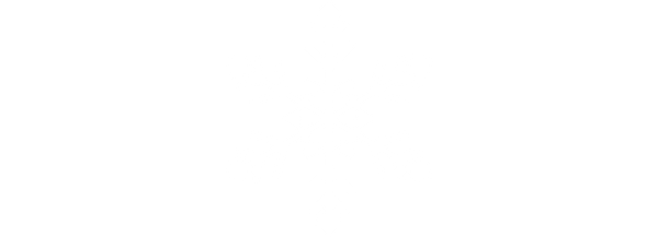 KI generiert: Eine detaillierte weiße Schneeflocke auf transparentem Hintergrund.