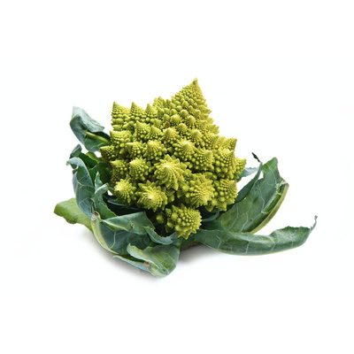 Produktfoto zu Romanesco