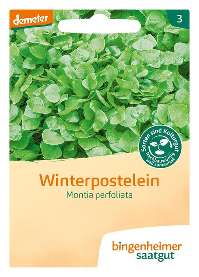 Produktfoto zu Saatgut Winterpostelein "Montia perfoliata"